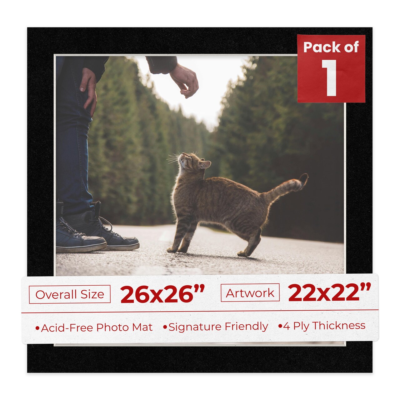 Black with Black Core Mat Board for 26x26 Frames - Fits 22x22 Photos